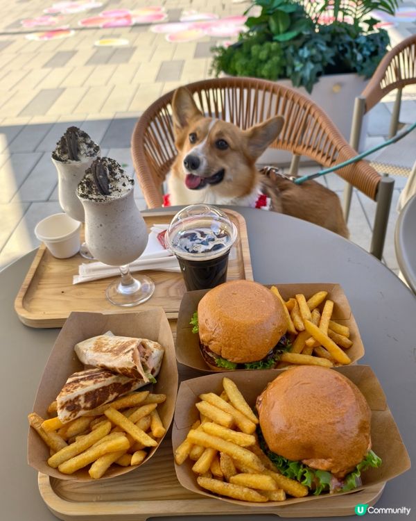 寵物遊樂天堂西沙go park