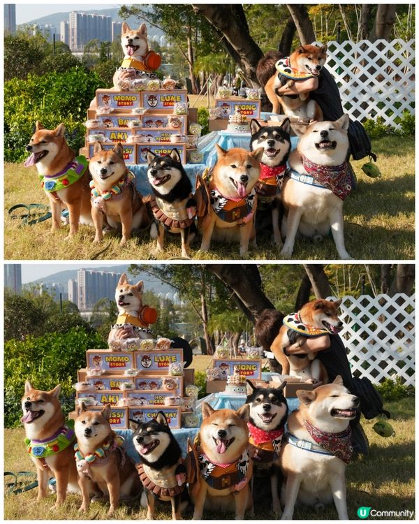 4歲生日派對🥳