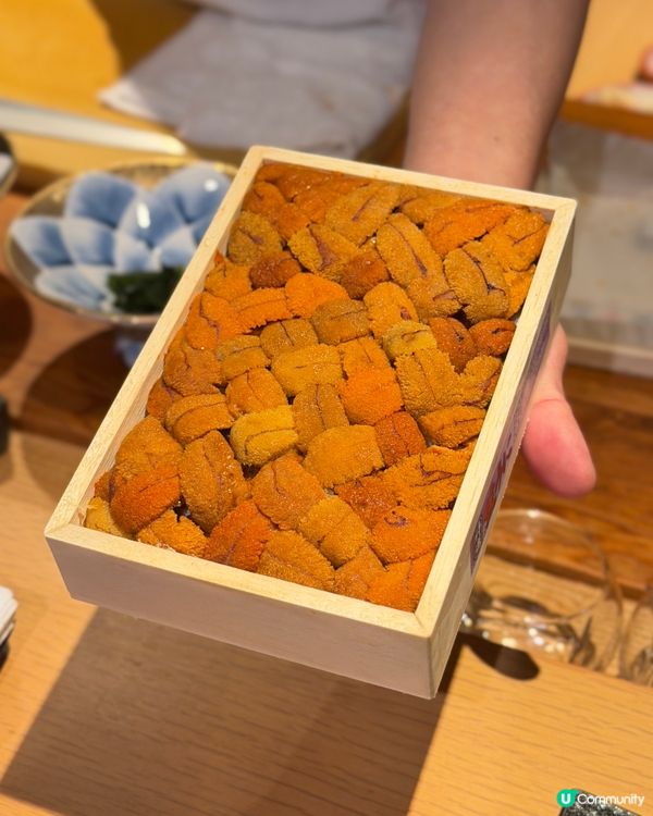 Omakase 無限追加吞拿魚腩鮑魚任你食！🍣🥢