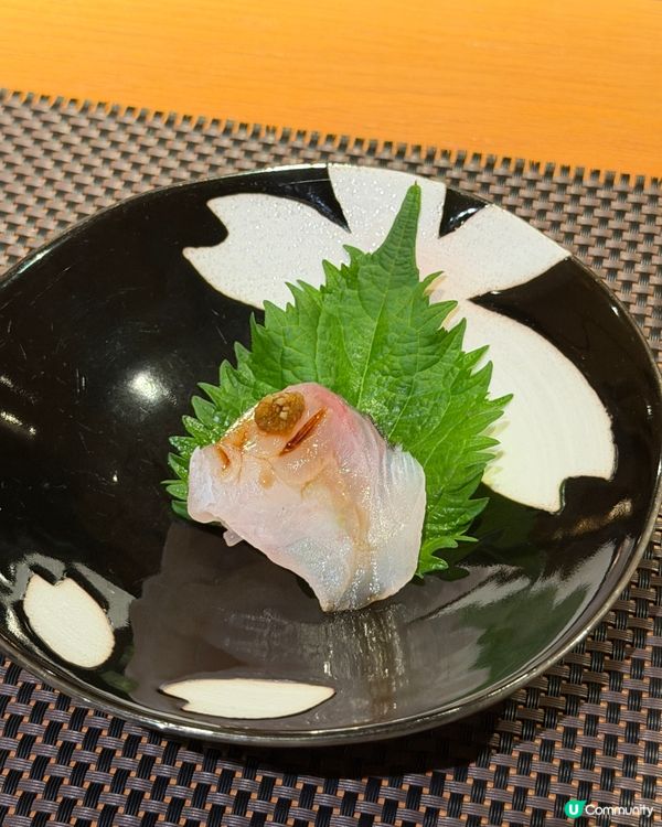 Omakase 無限追加吞拿魚腩鮑魚任你食！🍣🥢