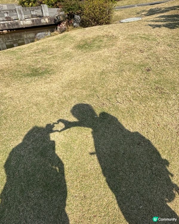 深圳仙湖公園睇紅葉 🍁靚到似幅畫！