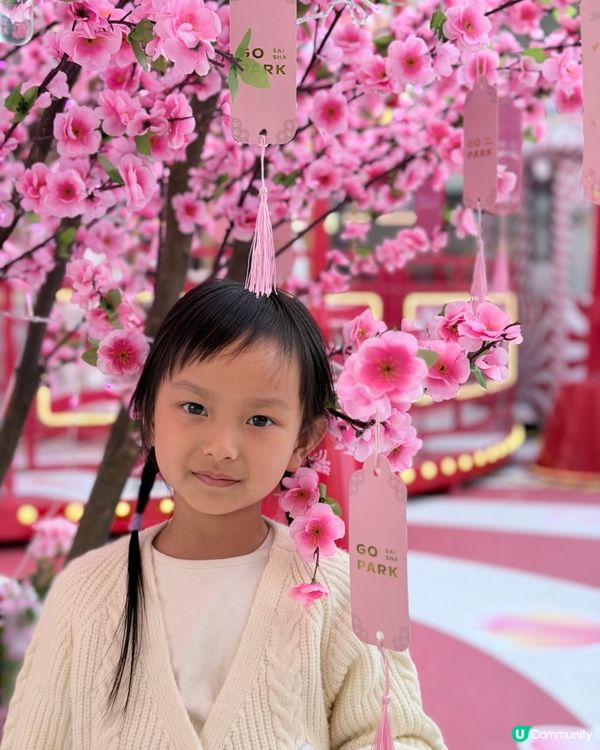 西沙春日樂園🌸桃花開運！