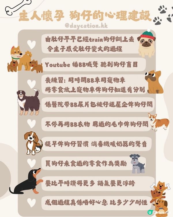 狗仔如何同初生BB相處？？