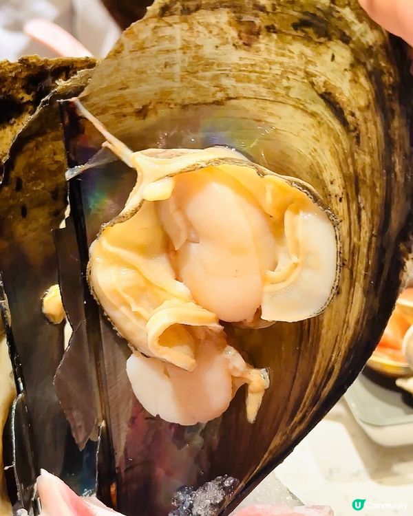 無限時卜卜蜆放題！🤤 $288任食！