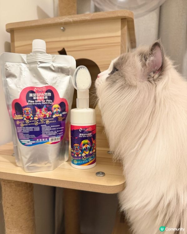 粉嫩肉球秘訣大公開 🐾✨