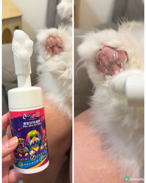 粉嫩肉球秘訣大公開 🐾✨