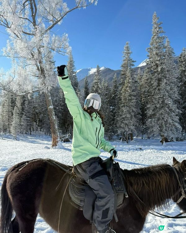 冬季滑雪騎馬平價旅遊攻略⛷️❄️