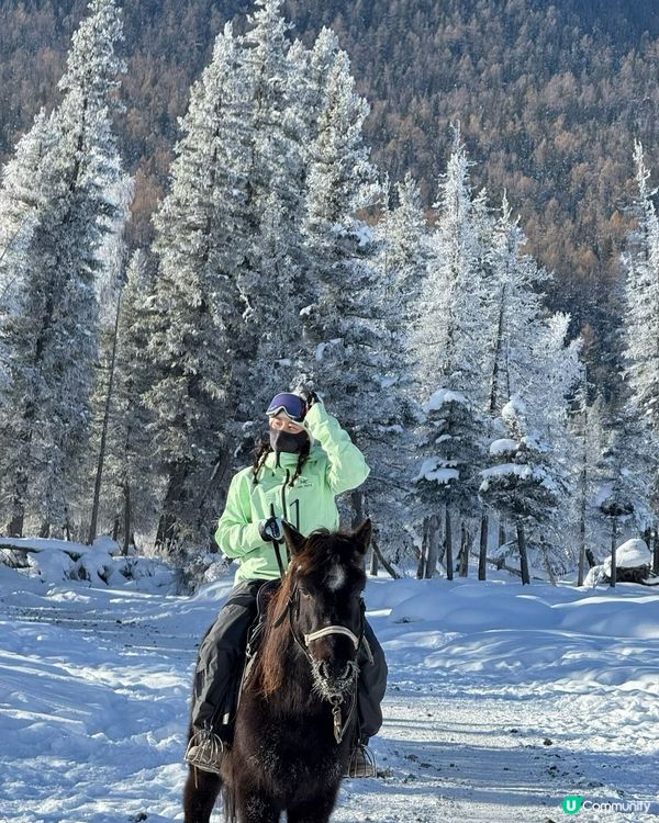 冬季滑雪騎馬平價旅遊攻略⛷️❄️