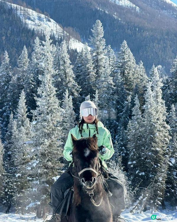 冬季滑雪騎馬平價旅遊攻略⛷️❄️