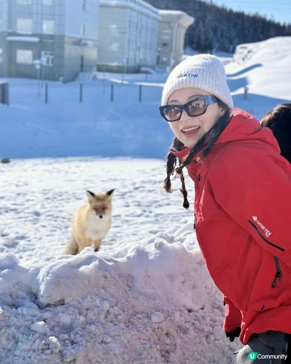 冬季滑雪騎馬平價旅遊攻略⛷️❄️