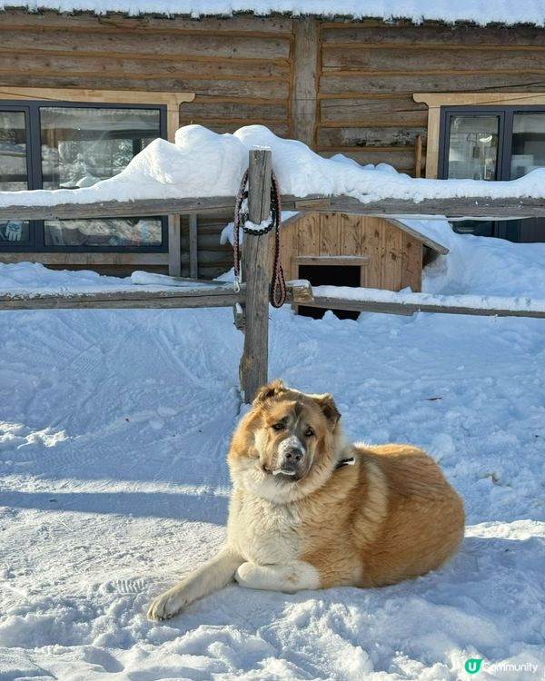 冬季滑雪騎馬平價旅遊攻略⛷️❄️