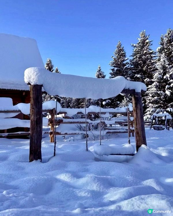 冬季滑雪騎馬平價旅遊攻略⛷️❄️
