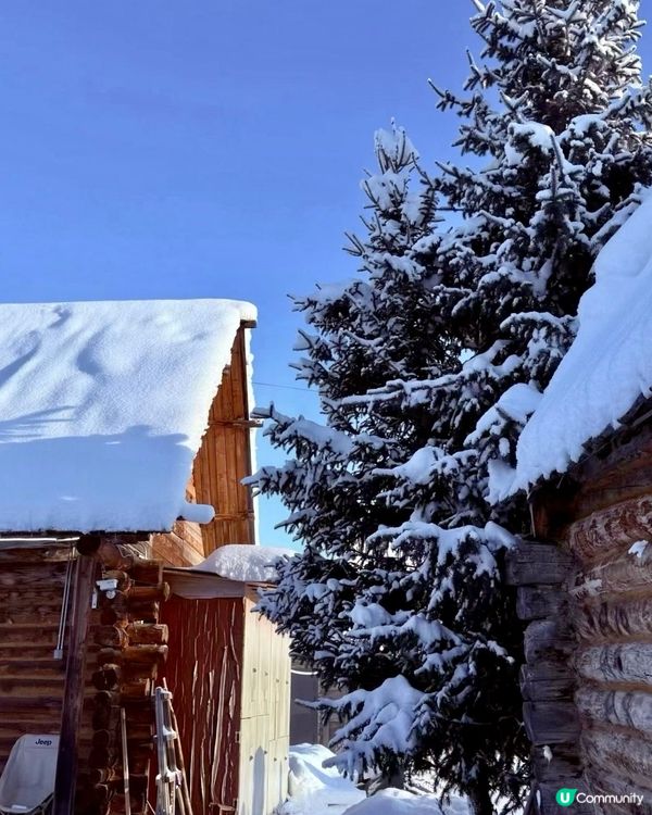 冬季滑雪騎馬平價旅遊攻略⛷️❄️