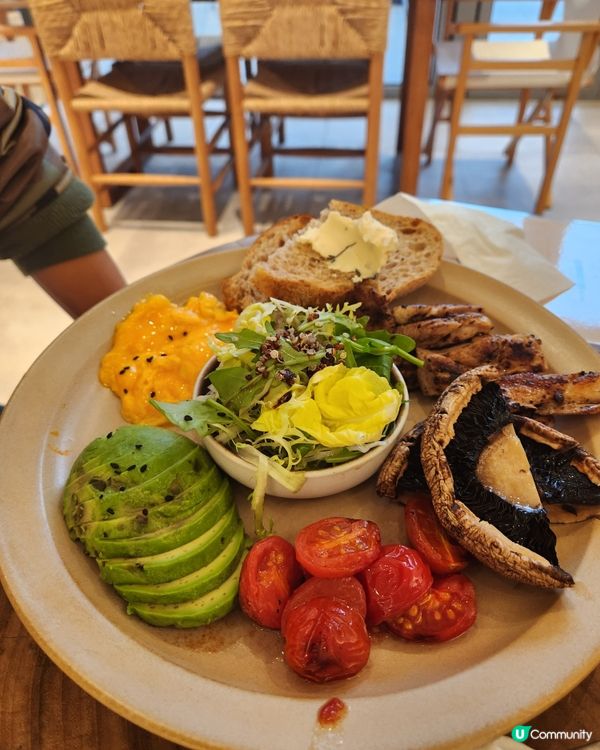 元朗新開寵物餐廳 🐶⛺️