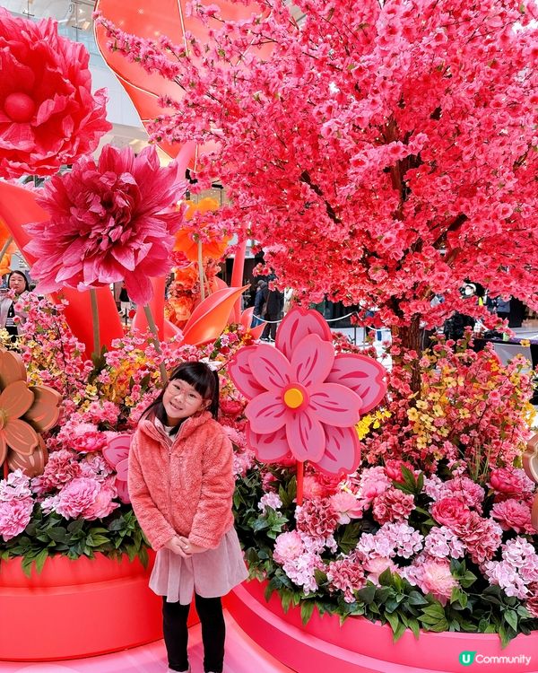 花海結緣新城市🌸桃花牡丹迎新春！💖