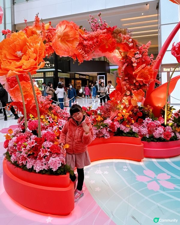 花海結緣新城市🌸桃花牡丹迎新春！💖