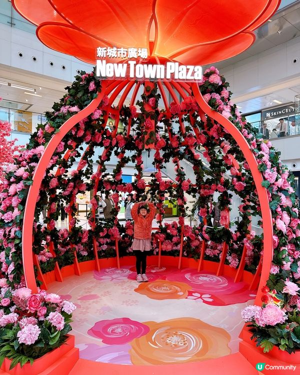 花海結緣新城市🌸桃花牡丹迎新春！💖