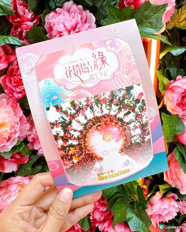 花海結緣新城市🌸桃花牡丹迎新春！💖