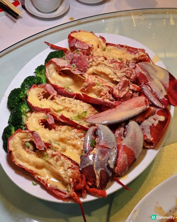 龍蝦和牛鮑魚任你食！🦞🥩