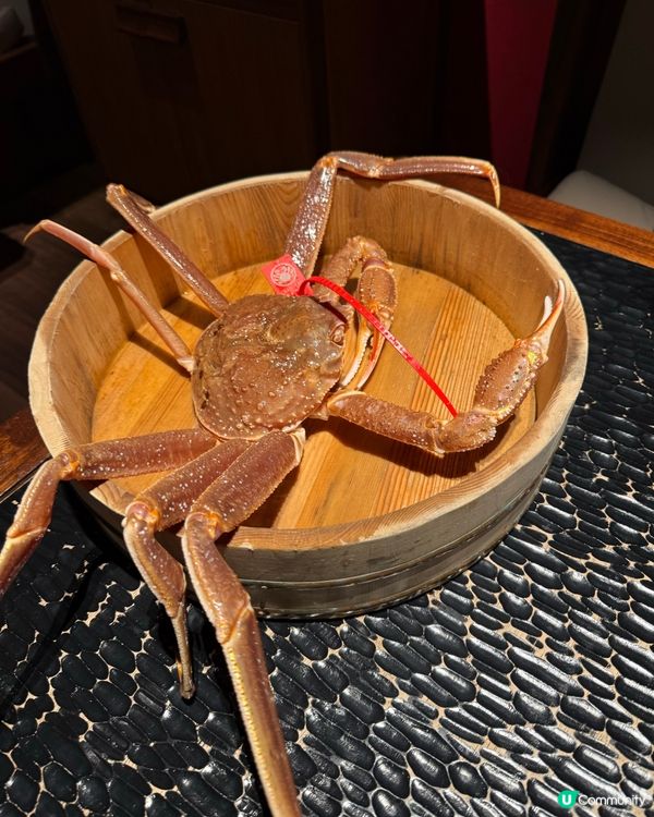 愛蟹之人必去🩷