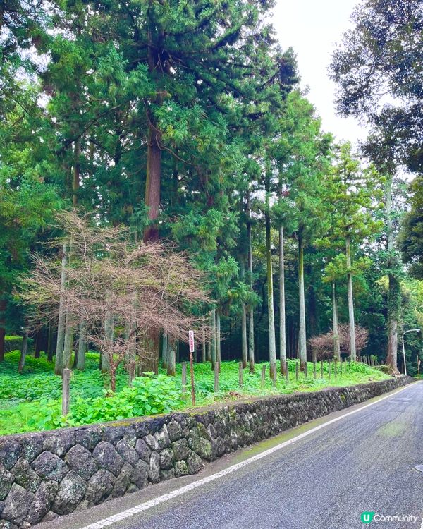 昭和感懷舊漫步 🚶‍♀️🇯🇵 富士山下的富士宮市
