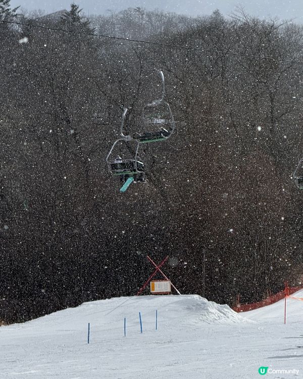 東京出發1小時直達！輕井澤滑雪場 冬日滑雪首選 🎿⛷️