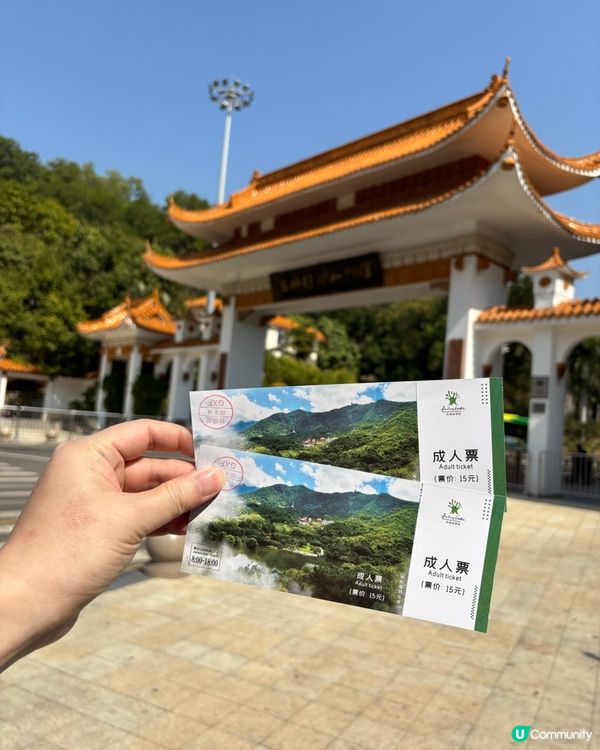 深圳仙湖植物園：紅葉繽紛與仙人掌奇景