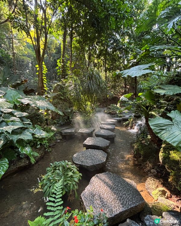 深圳仙湖植物園：紅葉繽紛與仙人掌奇景