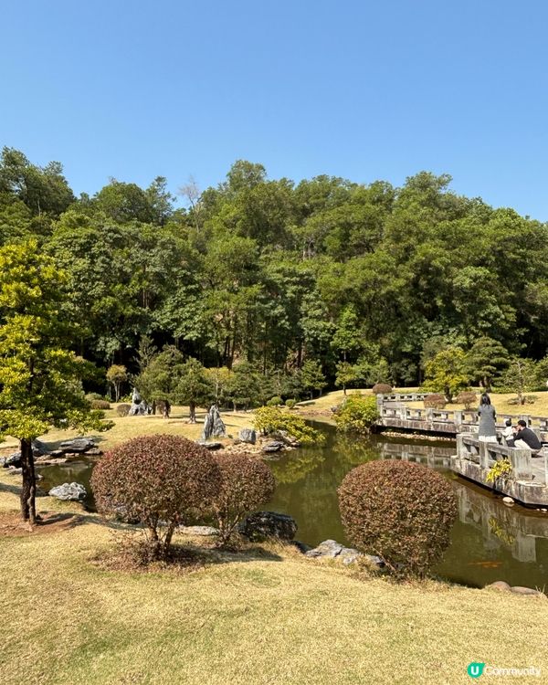 深圳仙湖植物園：紅葉繽紛與仙人掌奇景