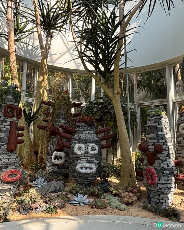 深圳仙湖植物園：紅葉繽紛與仙人掌奇景