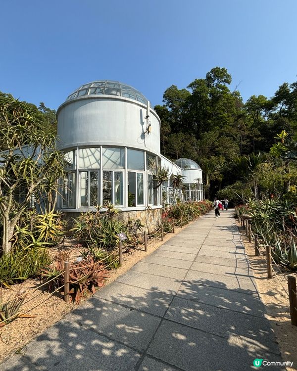 深圳仙湖植物園：紅葉繽紛與仙人掌奇景