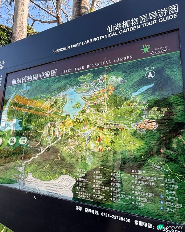 深圳仙湖植物園：紅葉繽紛與仙人掌奇景