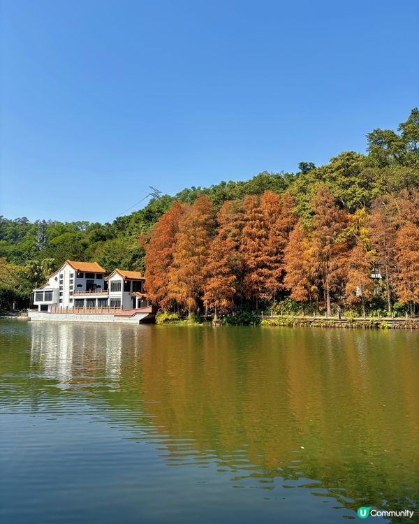 深圳仙湖植物園：紅葉繽紛與仙人掌奇景