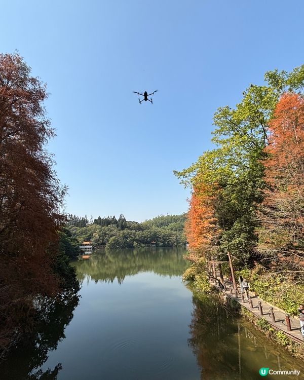 深圳仙湖植物園：紅葉繽紛與仙人掌奇景