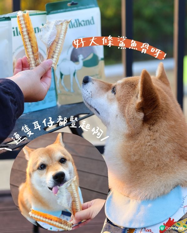 🐪 市面上唯一風乾澳洲駱駝肉肉乾❤️‍🔥
