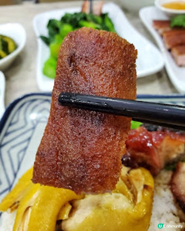 天龍燒鵝．灣仔街坊嘅熱追燒味！