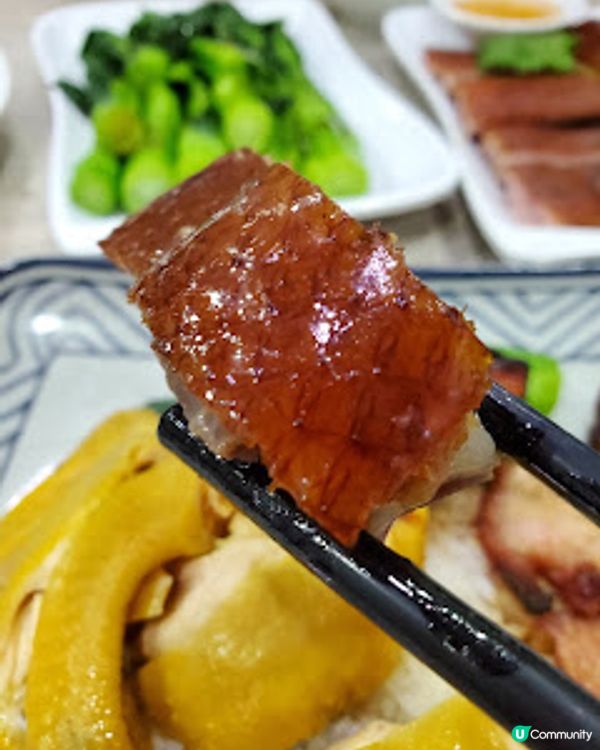 天龍燒鵝．灣仔街坊嘅熱追燒味！