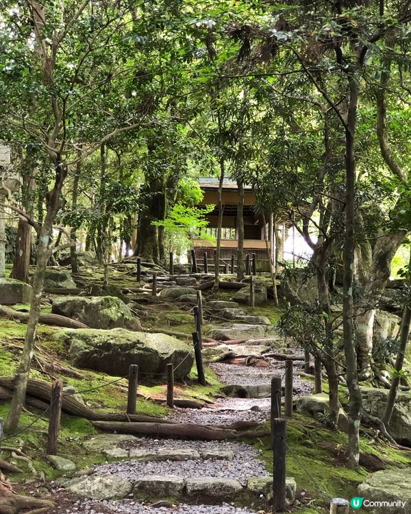 環遊日本🇯🇵｜琉璃光院平替選擇攻略🎋