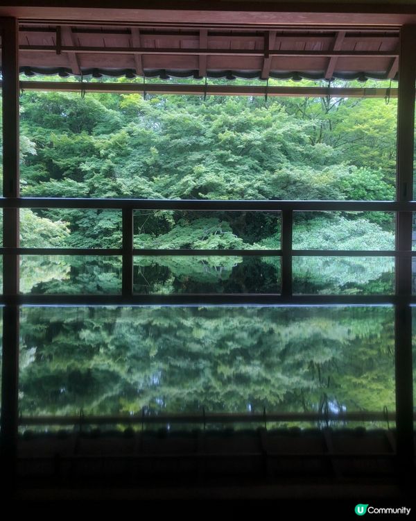 環遊日本🇯🇵｜琉璃光院平替選擇攻略🎋