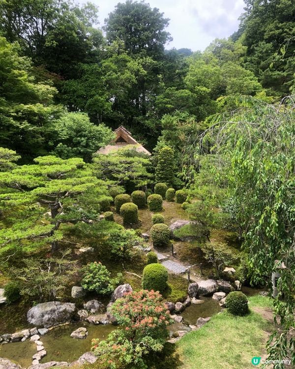 環遊日本🇯🇵｜琉璃光院平替選擇攻略🎋