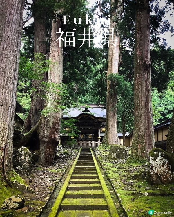 環遊日本🇯🇵｜北陸地區小眾旅行地攻略🦖