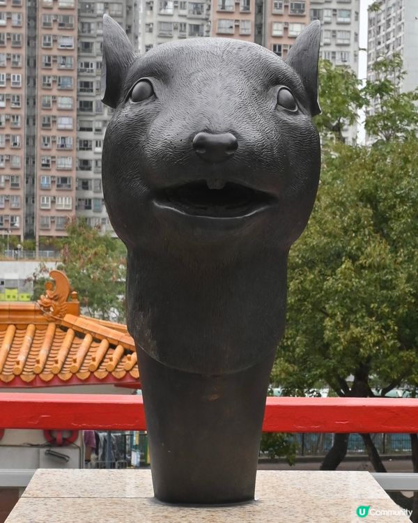 快來和自己的生肖合個照為自己帶來好運