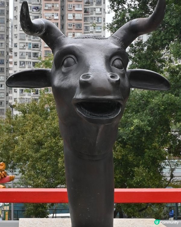 快來和自己的生肖合個照為自己帶來好運