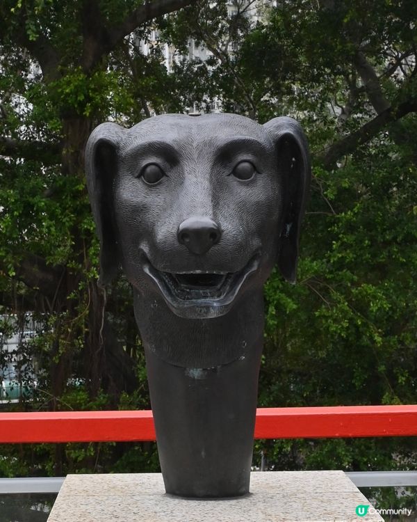 快來和自己的生肖合個照為自己帶來好運