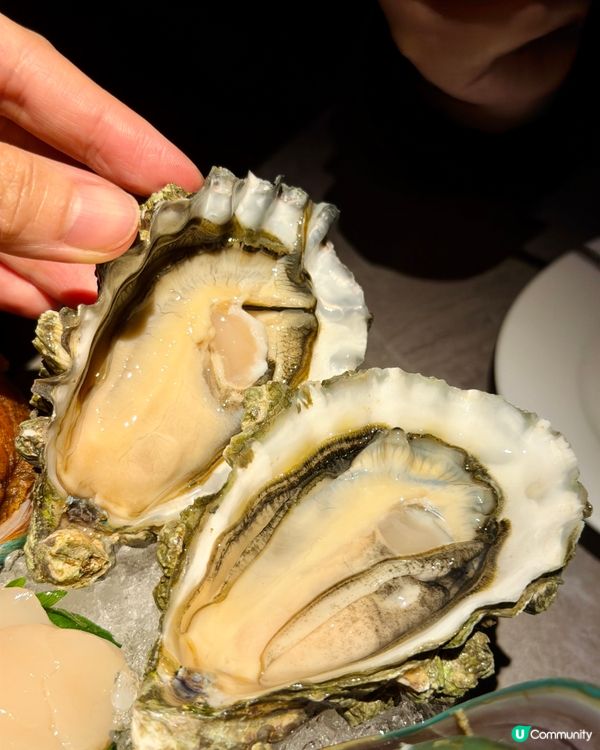 $99海鮮併盤！蠔迷必衝！🤤