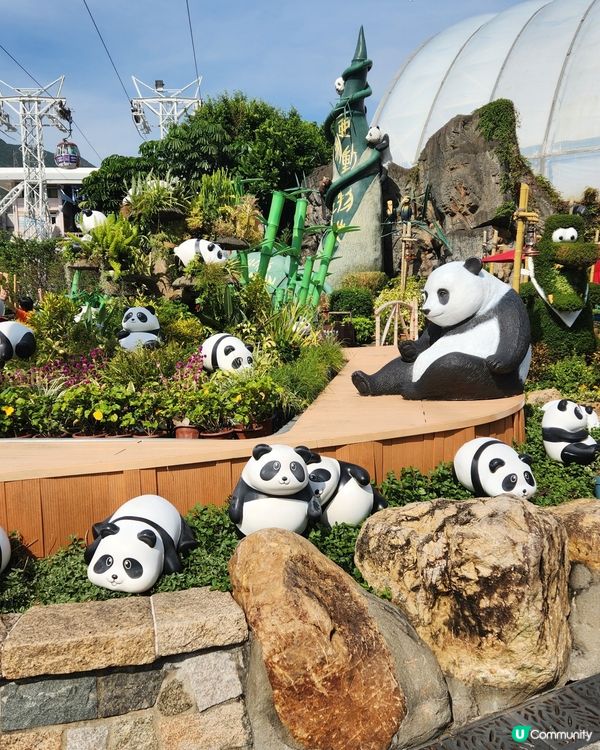 海洋公園全攻略！親子樂透天！👨‍👩‍👧‍👦🎢