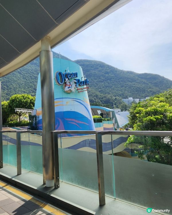 海洋公園全攻略！親子樂透天！👨‍👩‍👧‍👦🎢