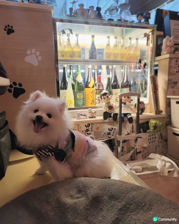 Creamie 的小確幸