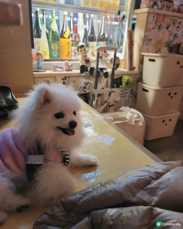 Creamie 的小確幸