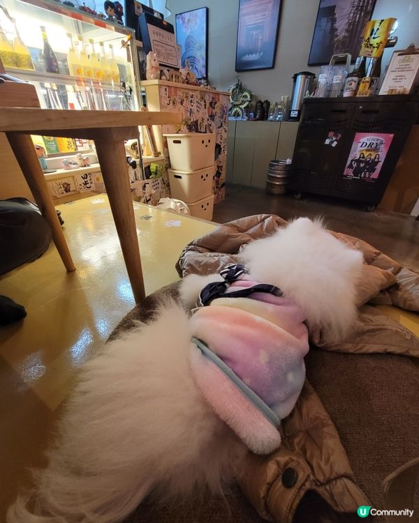 Creamie 的小確幸